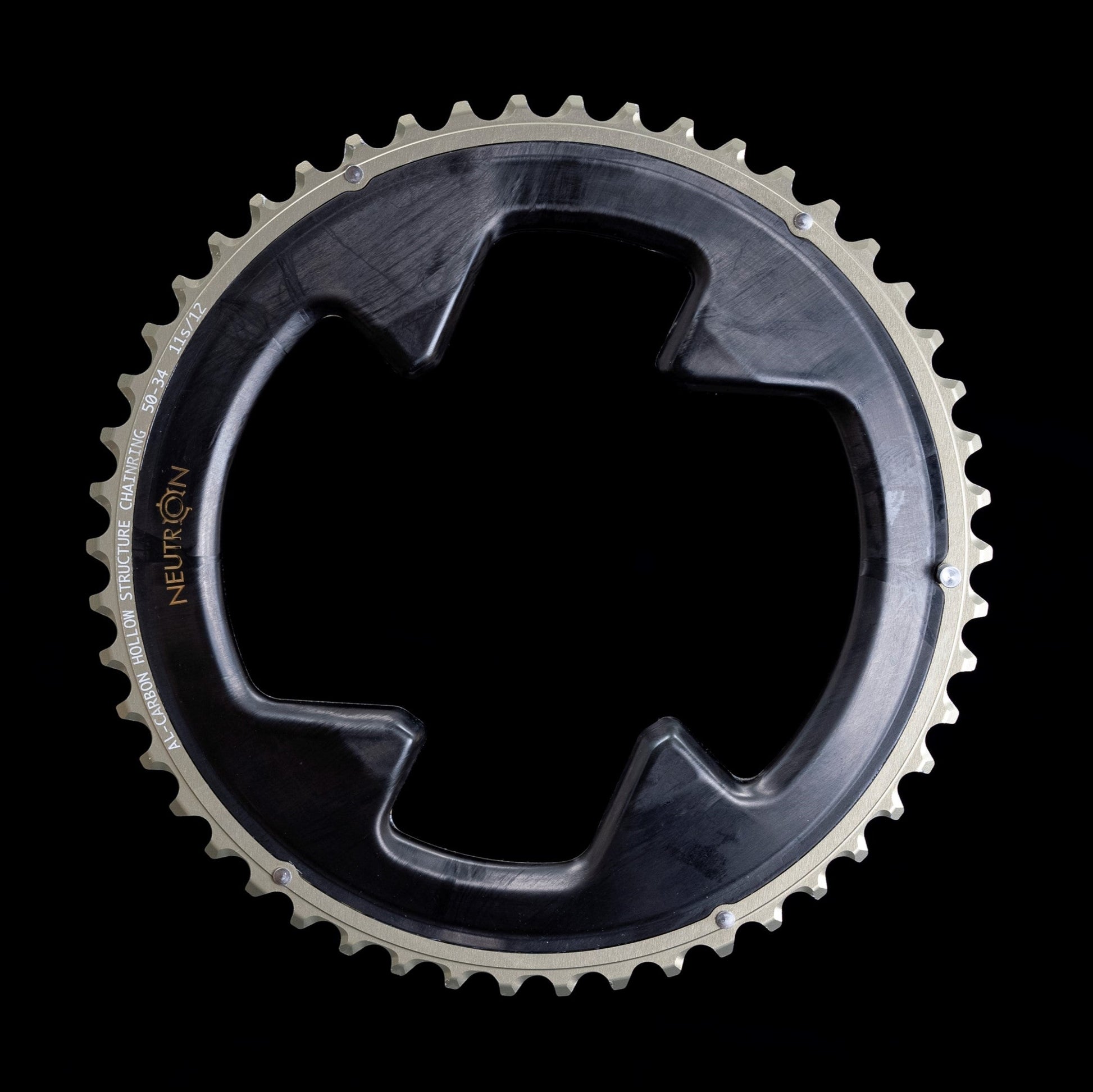 Carbon hollow chainring